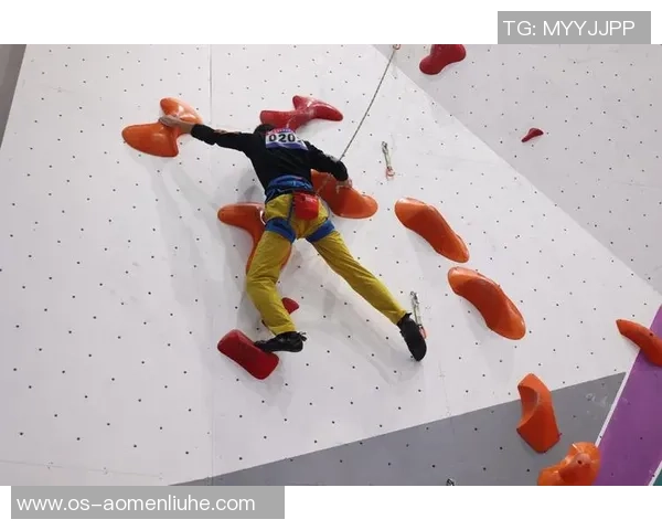 从零基础到高手之路：全面解析攀岩技巧与装备选择