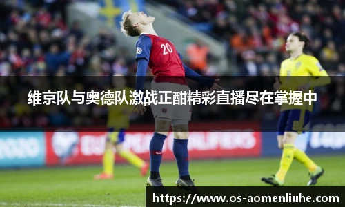维京队与奥德队激战正酣精彩直播尽在掌握中